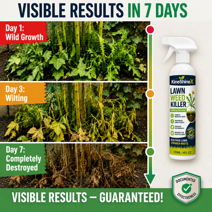 ⚡ [Easy & Stress-Free Yard Cleanup] Domestic Weed Killer Spray | Fast-Acting Root Remover for Garden, Patio & Driveway