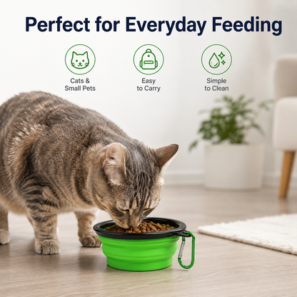 Collapsible Travel Pet Bowl