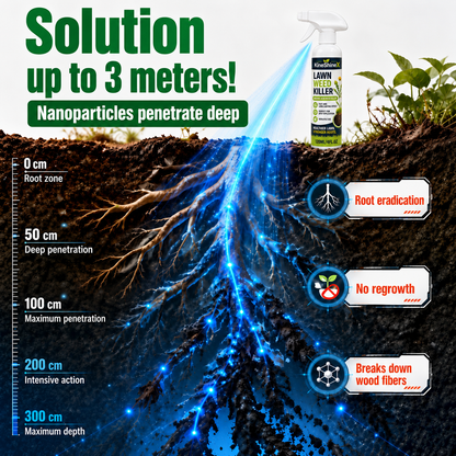 ⚡Domestic Weed Killer Spray | Fast-Acting Root Remover for Garden, Patio & Driveway